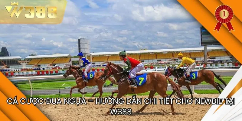 Cá Cược Đua Ngựa