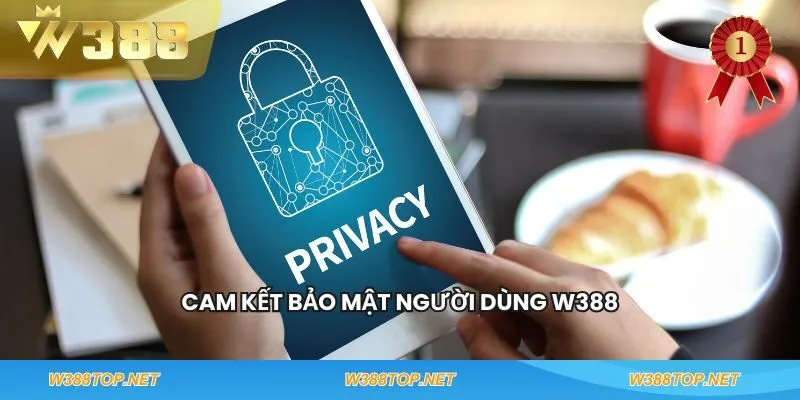 Cam kết bảo mật người dùng W388