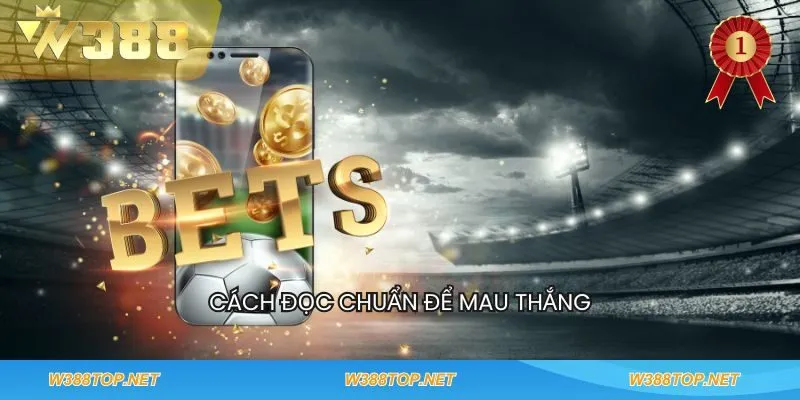 Có các tính chất khác nhau của kèo thơm bóng đá