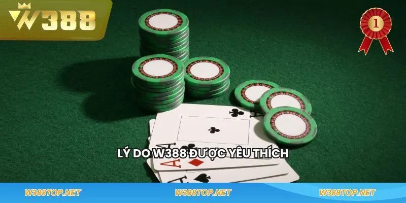 Lý do W388 được yêu thích