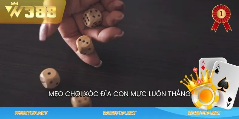 Mẹo chơi Xóc đĩa con mực luôn thắng