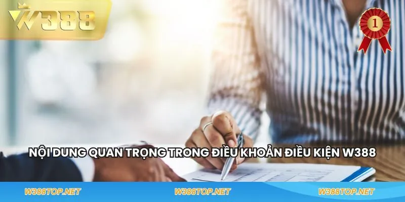 Nội dung quan trọng trong điều khoản điều kiện W388