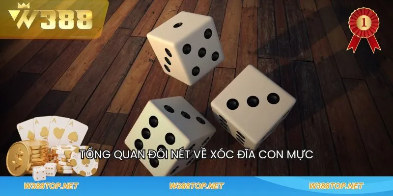 Tổng quan đôi nét về Xóc đĩa con mực