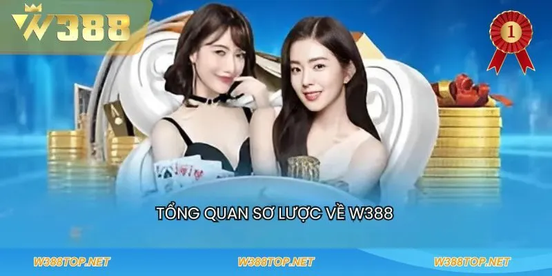 Tổng quan sơ lược về W388